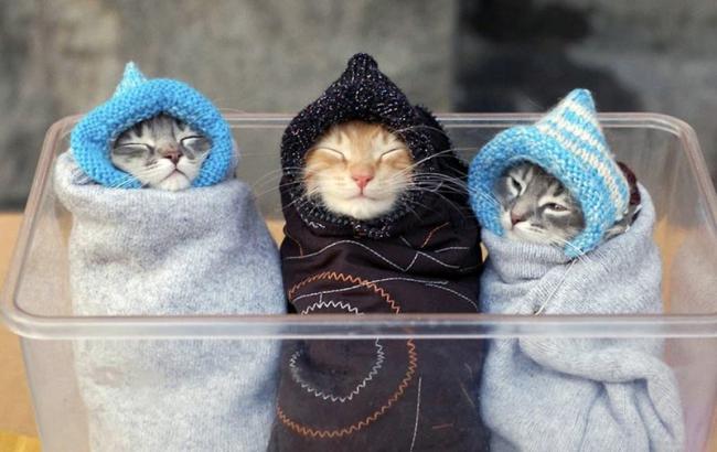 В Украине до 2 октября сохранится прохладная погода