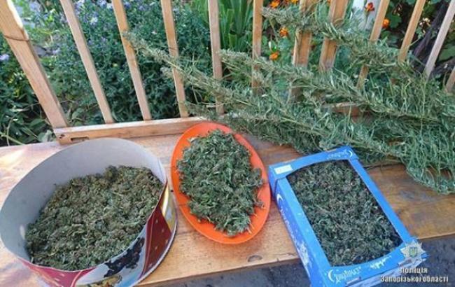 В Запорожской области изъяли наркотики на сумму около 500 тыс. гривен