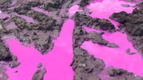 Розовая жидкость на поле под Ровно оказалась химикатом: есть ли угроза для людей