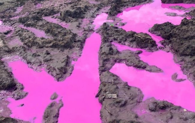 Рожева рідина на полі під Рівним виявилася хімікатом: чи є загроза для людей