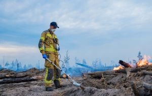 У Чорнобильській зоні знову сталася пожежа: чи є загроза радіації