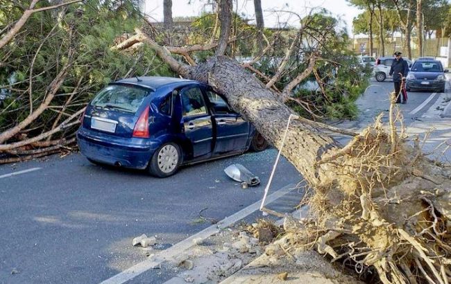 В Италии возросло число жертв урагана