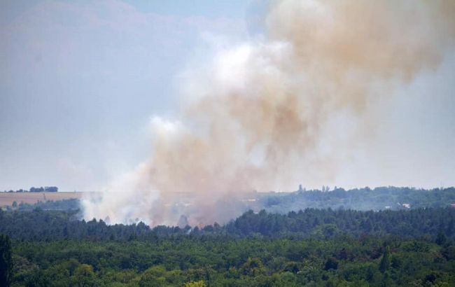 На острові Хортиця сталася масштабна пожежа. Гасіння ускладнює сильний вітер