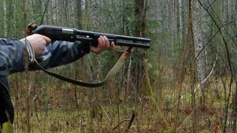 "Вони не дичина і не трофей": браконьєрів закликали не стріляти в благородних птахів (фото)