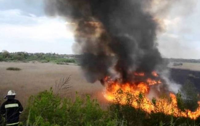 В Киеве горит 15 га камыша