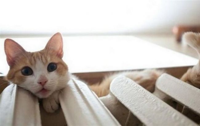 В Киеве к отоплению подключили 93% жилых домов