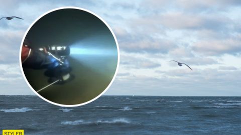 В Балтийском море нашли "космический корабль": не видели ничего подобного (фото)