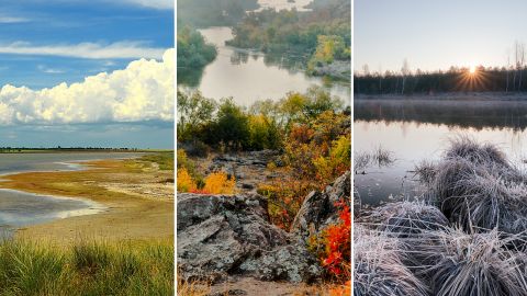 Баланс природи. Що таке національні парки та чому їх рідко відвідують туристи