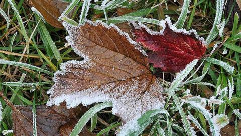 Синоптики предупреждают о заморозках в Киеве 28-30 сентября