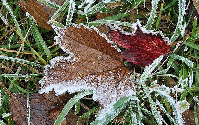 Ожидаются сильные заморозки: в каких областях резко ухудшится погода