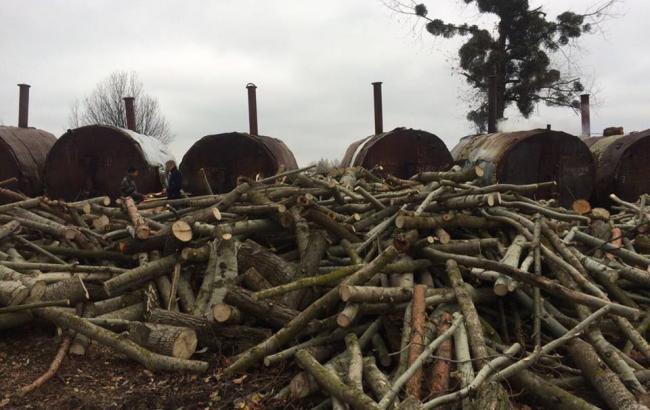 У Волинській області вилучили 6 тонн незаконно виготовленого деревного вугілля