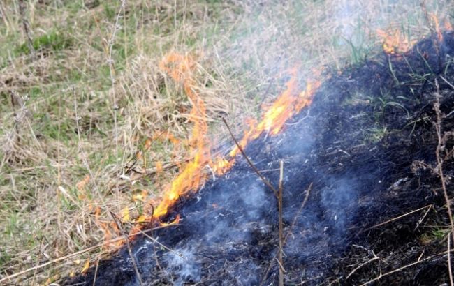Гидрометцентр предупреждает о чрезвычайном уровне пожарной опасности в Украине