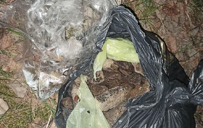 В Ровенской области изъяли более 10 килограмм янтаря-сырца
