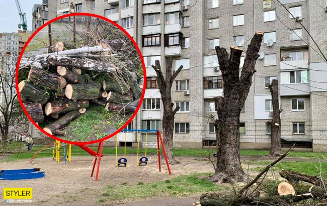 В Киеве беспощадно порезали деревья: "кому-то не хватает дров на шашлыки?"