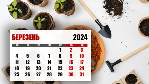 Місячний посівний календар на березень 2024: що та коли садити для гарного врожаю
