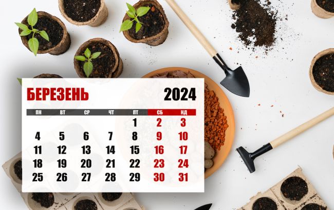 Лунный посевной календарь на март 2024 года: что и когда сажать для хорошего урожая