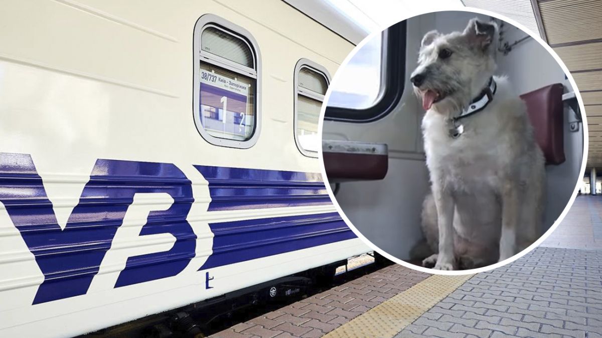 проводница 