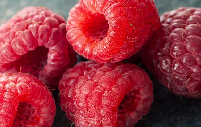 Головна помилка садівників: чому не можна різати малину навесні?