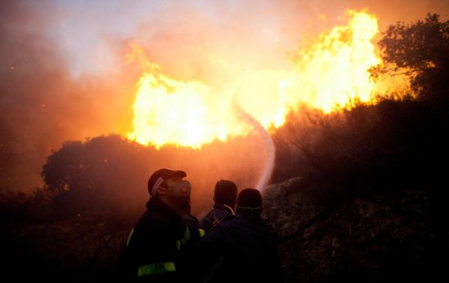 Турция направила самолет для тушения пожаров в Израиле