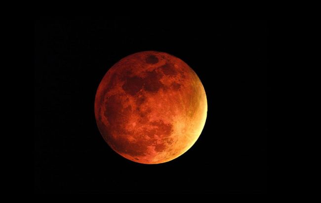 Ученые будут выращивать на Марсе генномодифицированные организмы