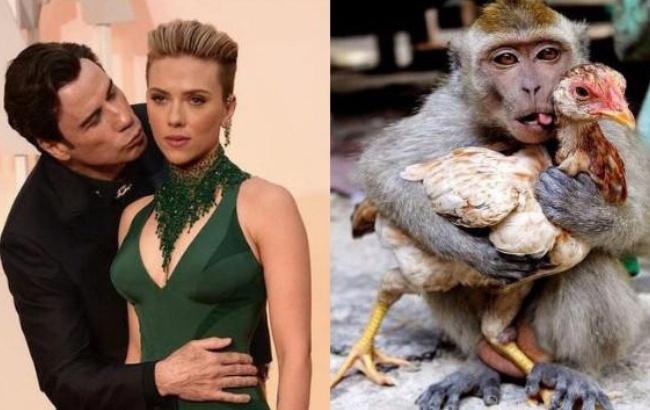 У Джона Траволты день рождения: топ-15 мемов с участием актера