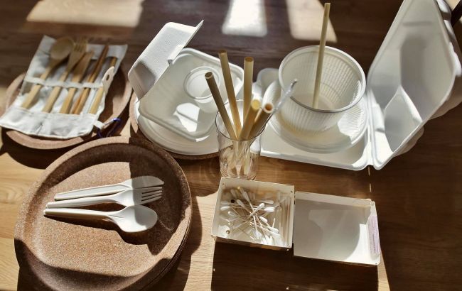 В Украине хотят запретить одноразовую посуду и ватные палочки: нарушителям готовят штрафы