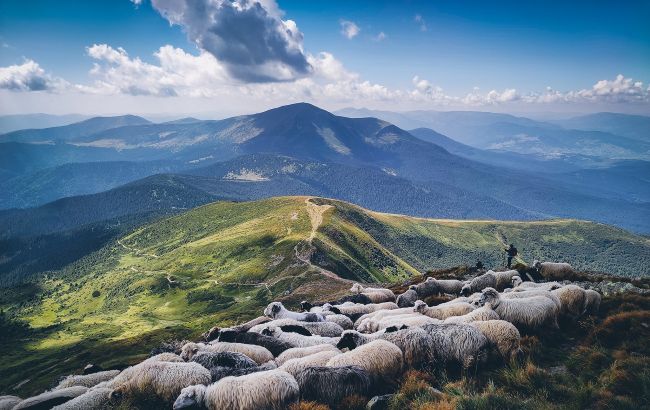 Краса Карпат: у мережі показали приголомшливе фото зі схилів Говерли