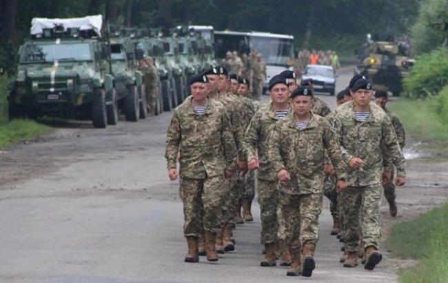 В лесу на Львовщине запретили собирать ягоды из-за военных учений