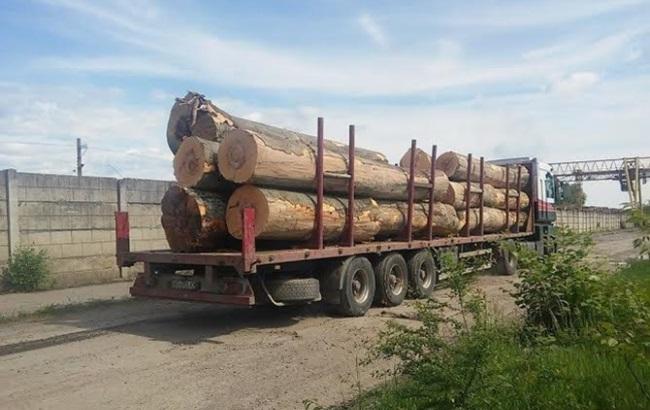 "Ділова" деревина: в Києві під Верховною Радою рубають дрова