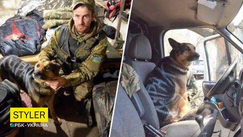 В ее уставших глазах угасала жизнь: ВСУ спасли овчарку, которую оккупанты разрисовали краской