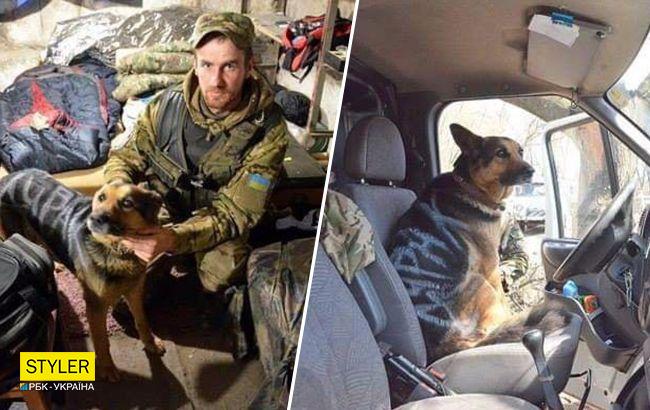 В її втомлених очах згасало життя: ЗСУ врятували вівчарку, яку окупанти розмалювали фарбою