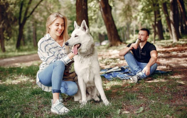 Він, вона і тварина: що робити, коли стосунки чудові, але партнер не виносить вашого кота чи собаку