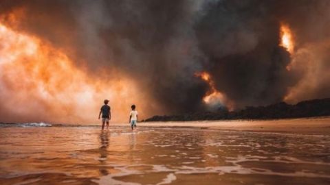 Австралія відмовилася від допомоги України в гасінні лісових пожеж