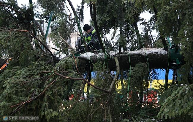 "Убожество лысое": сеть ужаснула главная елка Украины (впечатляющее фото)