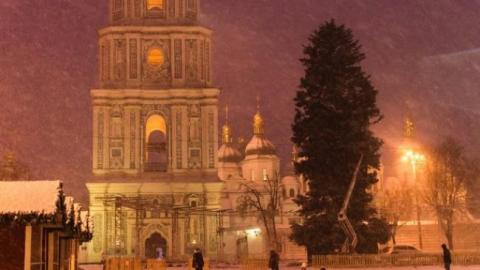 В Киеве начали наряжать главную елку страны (видео)