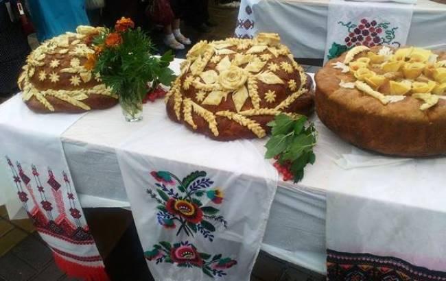 На Черниговщине установили "рекорд рекордов"