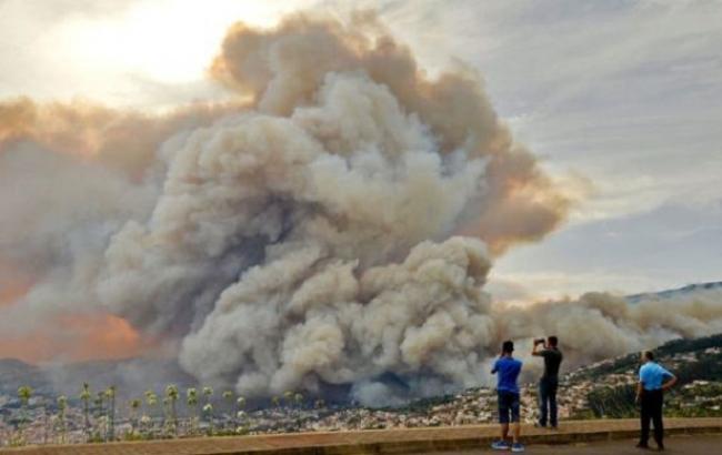 Пожежі на Мадейрі: фото та відео