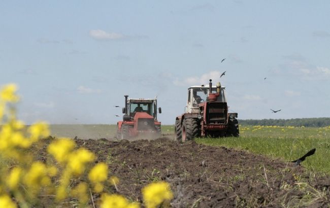 В Україні посів зернових і зернобобових завершено на 78%