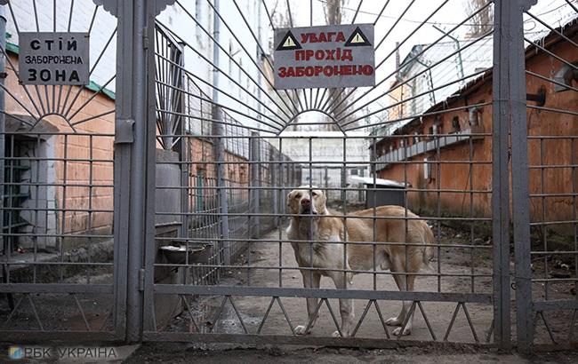 "Вероятно, это побег": в Лукьяновском СИЗО пропал опасный заключенный