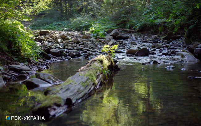 На заході України вода в річках підніметься на метр: є загроза підтоплень та зсувів грунту