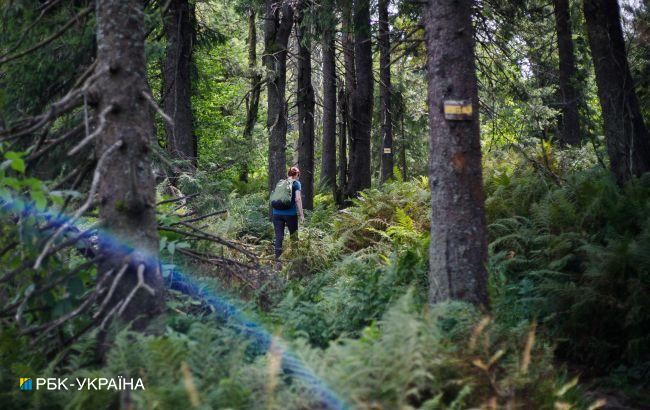 В Карпатах произошел взрыв во время разжигания костра: погибли два человека