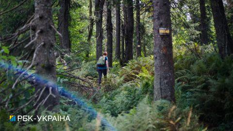 Провели ночь в лесу: в Карпатах нашли четырех заблудившихся детей