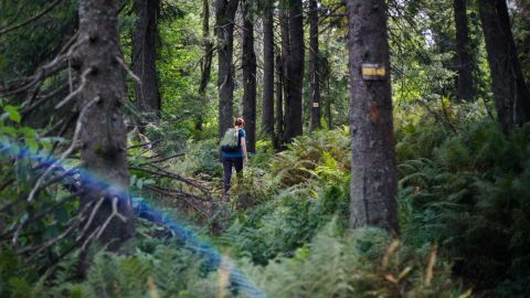Почему сохранение природы приносит выгоды экономике