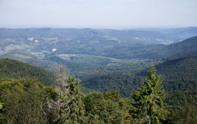 В Раде предлагают запретить россиянам владеть землей в Украине