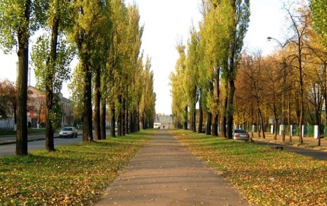 Лепсе на Гавела: в Киеве переименовали несколько улиц