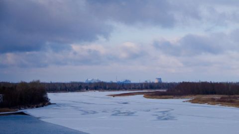 У Чорнобилі показали дивовижні фото, як ловлять сонце тварини, що не заснули взимку