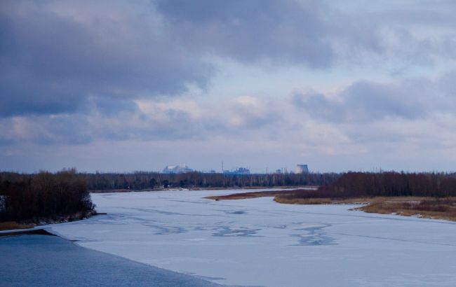 У Чорнобилі показали дивовижні фото, як ловлять сонце тварини, що не заснули взимку