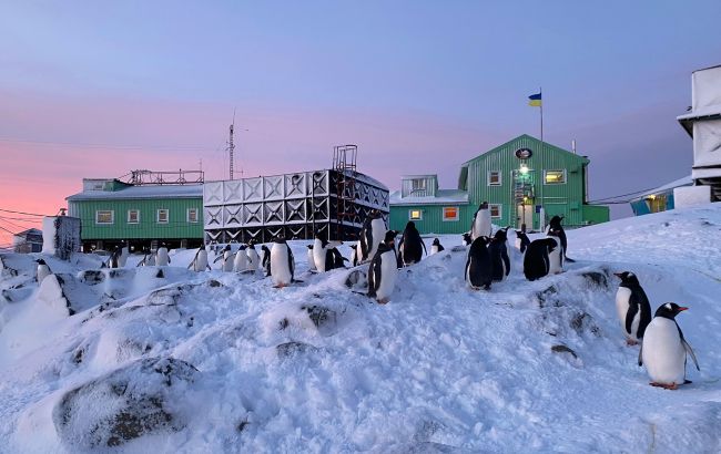 В Антарктиде сегодня первый день лета: полярники поделились интересными фактами о континенте