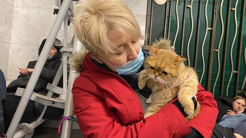 Власникам домашніх тварин дали корисні поради у воєнний час