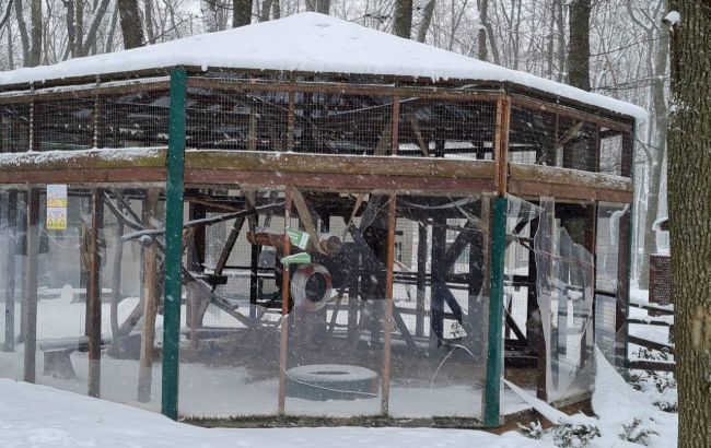 Харківський екопарк зруйновано обстрілами. Великих хижаків можуть приспати